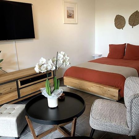 Grand Studio Avec Coin Nuit, Proche Mer Et Montagnes Roquebrune-sur Argens Exteriör bild