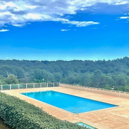 Grand Studio Avec Coin Nuit, Proche Mer Et Montagnes Roquebrune-sur Argens Exteriör bild